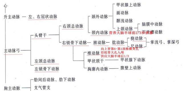 1548038530(1).jpg