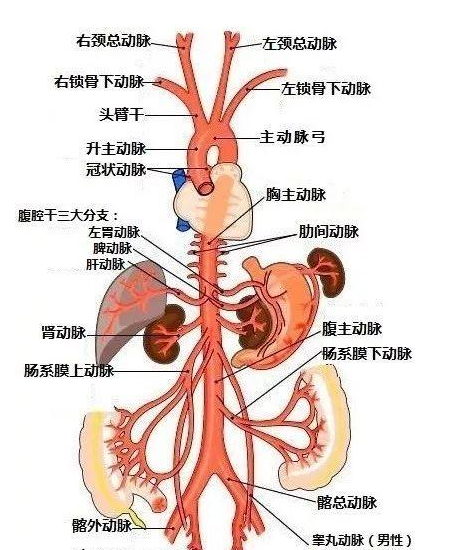 1548038555(1).jpg
