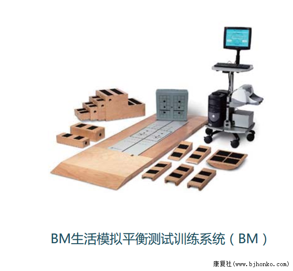 BM生活模拟平衡训练系统